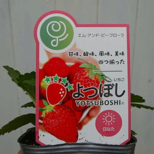  c C`S ڂ c 3.5 n[uc 250123