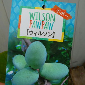 ||[ c EB\ 5 |[|[ ڂ @ʎc ϊ 251023