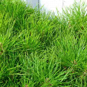  c 3 c ~͎dĂɂ  251028