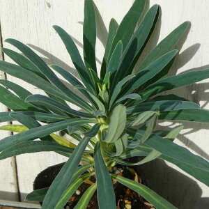 [tHrA c EtFj[ 3  h N J[[t 251030