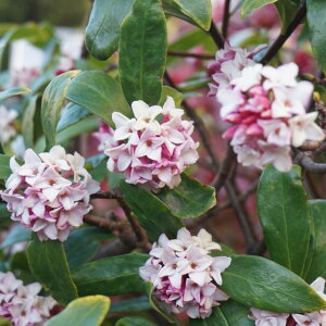  cW`EQ ԉ 5 c  ̉ Ύ  A 251113