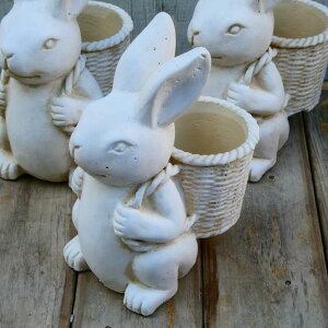  eRb^ v|bg B KL501IV fL ObY  240617