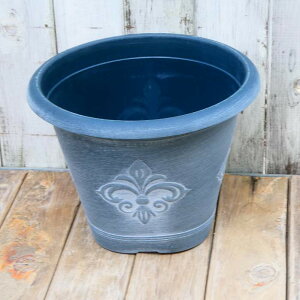  v_|bg O[  8 a25.5cm ی^ vX`bN No.3795 cY 250919