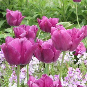 `[bv   p[v 3Zbg HA  R쑐 h@241007