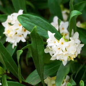  c W`EQ  4 c A ̉ԁ@Ύ  A 251104