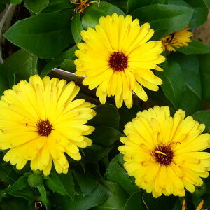 JW c G~t }  3.5 񂹂 ~Ԓd Ԓdc 251111