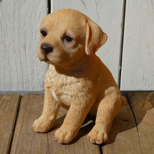 { グ郉uh[go[@k K[fjO  u q k  K[fG  K[fjOG 킢  A i`   O Iu