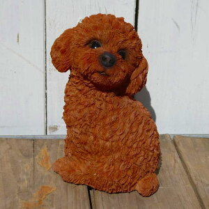 { UԂgCv[h[ bhij@k K[fjO  u q k  K[fG  K[fjOG 킢  A i`   O I