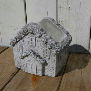  ]|bgAS KM31LG eRb^ nEX Å񂹐A fL@250215