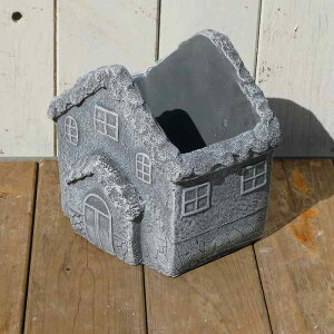  ]|bgAS KM31BK eRb^ nEX Å񂹐A fL@250215