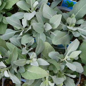 zCgZ[W c 3.5 Z[W  n[u 251028