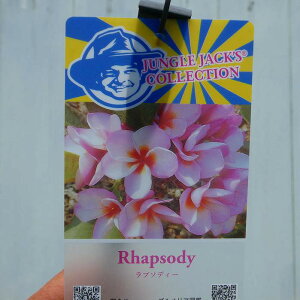 vA c 5 v\fB MщԖ sN Ẳ WOWbNX 250603