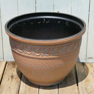  a35cm 11 y vX`bN obN|bg IW No.3663 ^ 傫 250803