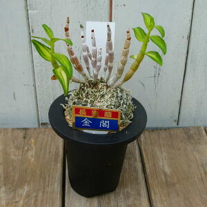  t ZbRN@c 3  Ν R쑐 250904