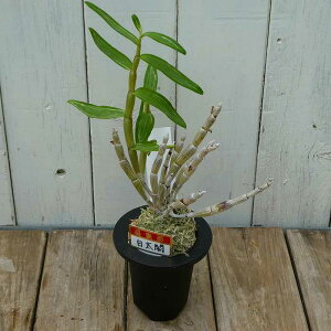  } ZbRN@c 3  Ν R쑐 250904