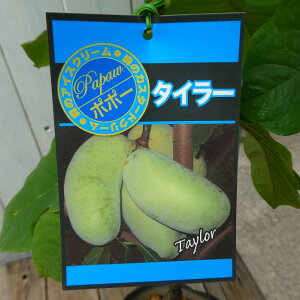 ||[ c ^C[ 5 |[|[ ڂ ʎc ϊ 251014