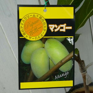 ||[ c }S[ 5 |[|[ ڂ ʎc ϊ 251014