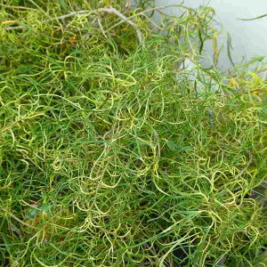 K K c 3.5 }x[ c ʎc ʕ 251014