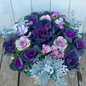 񂹐A i28 tO N Ε  t܂ō炭 a30cm  251122