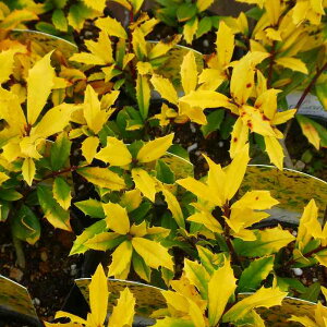 qCM c t Tj[tHX^[ 2.5 251125