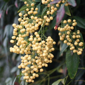 V c  V 3.5|bg  t ie  251127