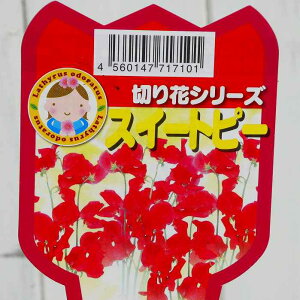 XC[gs[ c bh ԉ 3.5|bg ؂Ԃɂ 251125