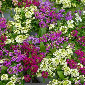 AbT c F񂹐A 4 ~̉ԕc ϊ Ԓdc 251113