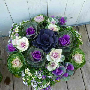 񂹐A i7 tO N Ε  t܂ō炭 a30cm  251113