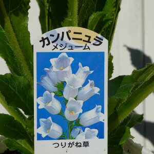 Jpj c W[  3.5 肪ˑ cKl\E tԒd Ԓdc 251204