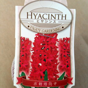 qVX  ԉ 1 ͔|p 勅 HA qAVX R쑐 h@241009