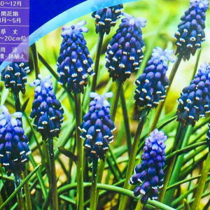  XJ lON^ 5 HA R쑐 h 251023