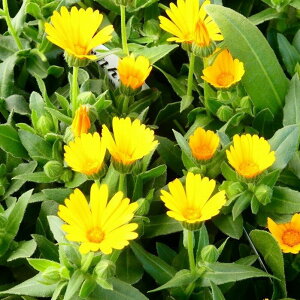 ~m炸 c LZJ JW 3.5 փJW ԕc ϊ Ԓdc 251030