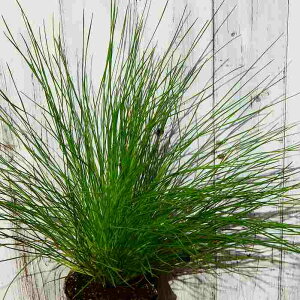  剤 3.5 _CIEVE Ύ A  c ɂ 251203