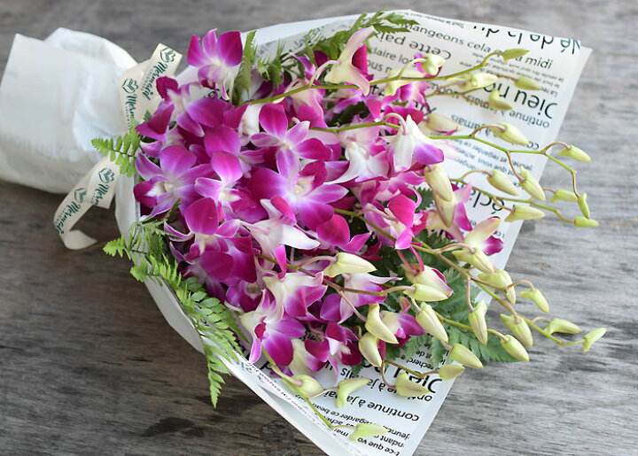 楽天市場 華やか洋蘭 デンファレ花束 デンファレとグリーンの花束 供花 ギフト 祝い 送料無料 誕生日プレゼント ギフト 結婚記念日 結婚 祝い ホワイトデー 卒業 プリティ マーメイド