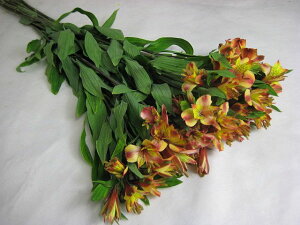 ؂ AXgA IWn 5{ ؉   ԍ