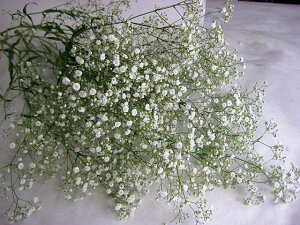 ؂ JX~\E ݑ VcRJX~ L 5{ ؉   ԍ h