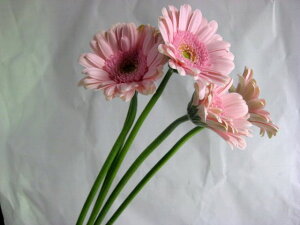 ؂ K[x ~j sNn 5{ ؉   ԍ ~jK[x