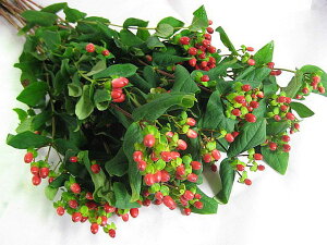 ؂ qyJ Ԍn 5{ ؉   ԍ