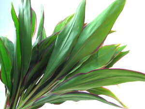 t hZi j[h[~[5{ ؉   ԍ