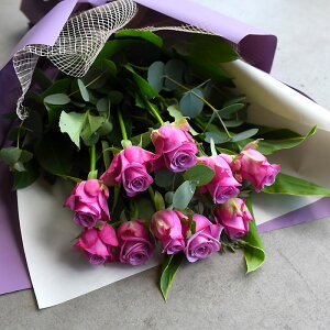 p[v[Y o 10{̉ԑ a  EGfBO  j v[g Mtg   } ސEj  j  LOj ꂳ ꂳ LO