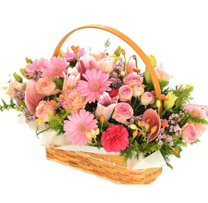 a  EGfBO  j v[g Mtg LO ̓ ꂳ tbVoXPbg JXj I[_[Ch ʉ ސEjMtg j  AW  