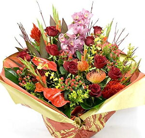  a }t  ꂳ  EGfBO  j v[g v[g JXj  NLO I[_[Ch v[g ʉ ސEjMtg j   AW 