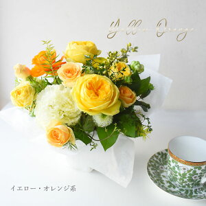  Mtg t[ v[g a }t   EGfBOj Mtg  AWu[YA[hv t[ j  N ސE ]  AWg  