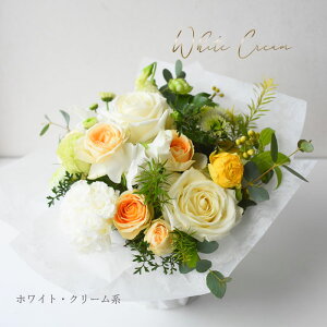  Mtg t[ v[g a }t   EGfBOj Mtg  AWu[YA[hv t[ j  N ސE ]  AWg  