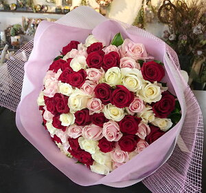 o100{̉ԑ ~bNX   ԃo v|[Y v[g LOj vw̓ ꂳ  a vw̓ ꂳ  EGfBO  j v[g  