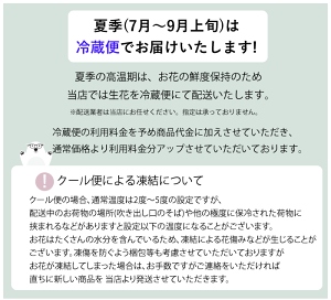 【父の日当店イチオシプレゼントギフト2022】向日葵の爽やかアレンジ花束アレンジメントブーケ送料無料楽天ランク1位ギフトプレゼント誕生日結婚ウエディング祝い花ひまわりヒマワリヒマワリ入り
