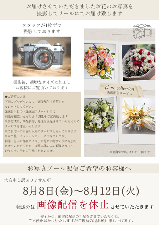 楽天市場】ドライフラワー ブーケ 花束 スワッグ 送料無料