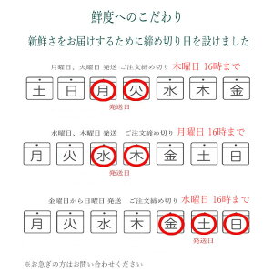 花誕生日ギフト生花◆カサブランカ25輪花束花フラワー送別退職祝い卒業