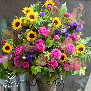 I[_[Ch X^h JX JXj JƏj I[vj j 蕨 rWlX \  T eXg Cu RT[g\ JXj ynz