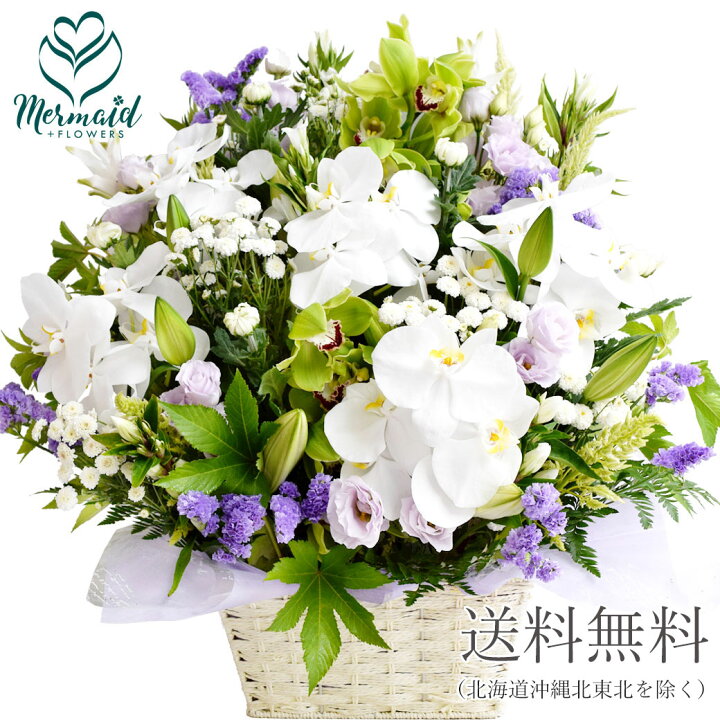 楽天市場 お供え お悔み お供え 喪中見舞い お返し お盆 盆花 初盆 お彼岸花 胡蝶蘭 百合 シンビジューム アレンジ 常盤 ときわ 季節のお花 お供え 喪中見舞い お返し お盆 盆花 初盆 お彼岸アレンジ 胡蝶蘭 シンビジューム お供え 喪中見舞い お返し お盆 盆花